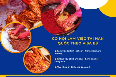 Cơ Hội Việc Làm Tại Hàn Quốc Theo Visa E8 - Làm Kim Chi Tại Incheon