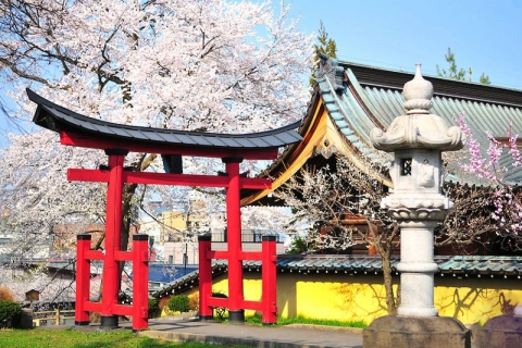 CHƯƠNG TRÌNH TUYỂN DỤNG ĐIỀU DƯỠNG TẠI NHẬT BẢN - CƠ HỘI NGHỀ NGHIỆP ỔN ĐỊNH VỚI THU NHẬP CAO